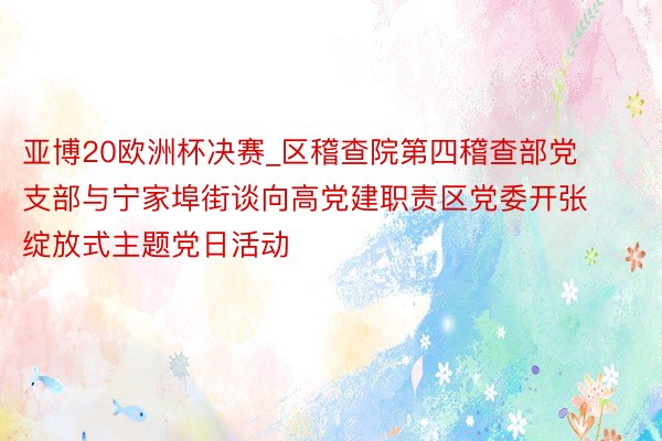 亚博20欧洲杯决赛_区稽查院第四稽查部党支部与宁家埠街谈向高党建职责区党委开张绽放式主题党日活动